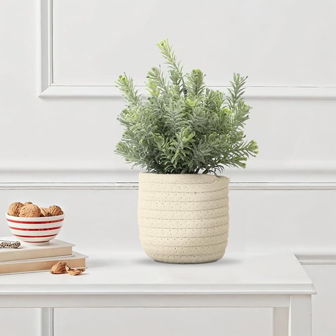 Hopewood Small Artificial Plants Eucalyptus - Image 9