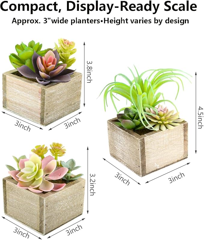 Artificial Succulents Indoor, Tabletop Accent - Image 9