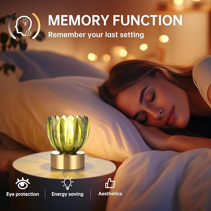 Shenmoyl Cordless Small Table Lamp - Image 9