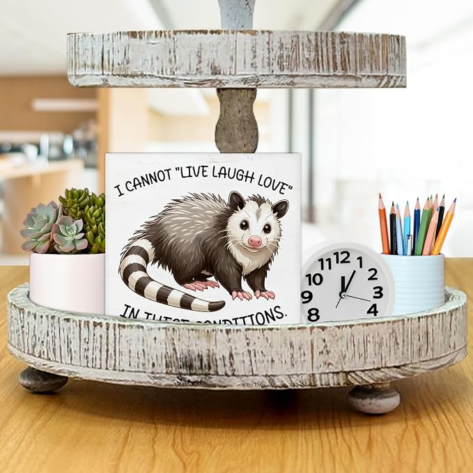 Sarcastic Office Desk Sign I Cannot Live Laugh Love Funny Possum Wood Block - Image 7