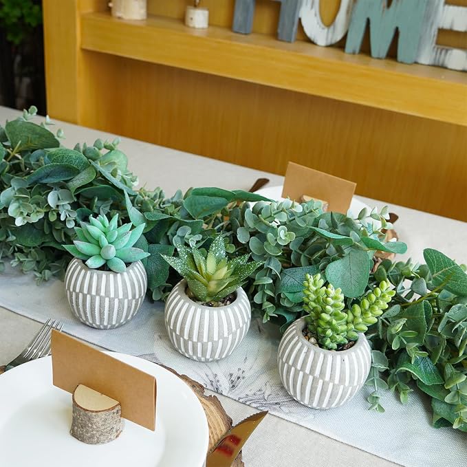 Winlyn Set of 3 Artificial Succulents Plants in Mini Gray and White Geometric - Image 9