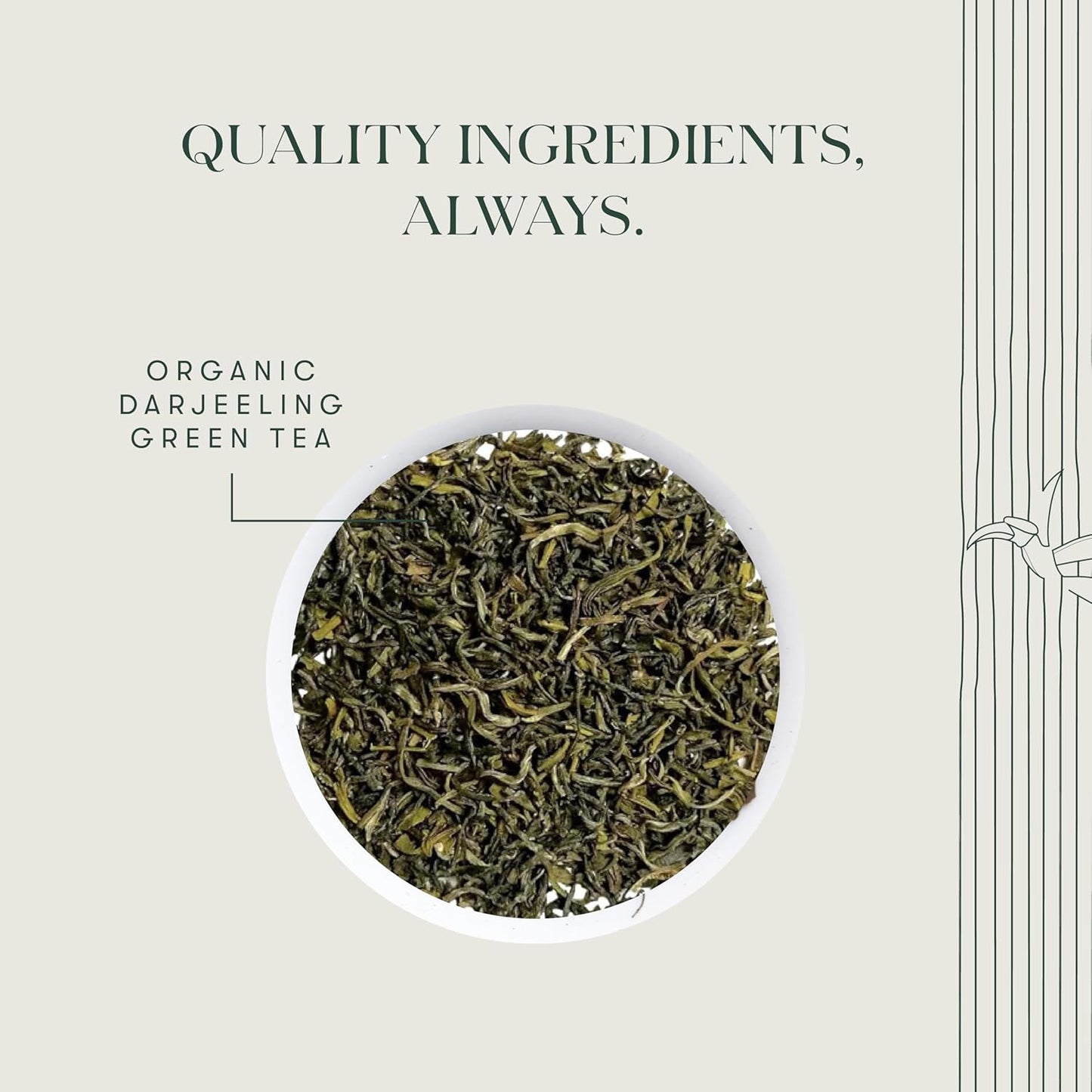 Luxmi Estates Tokyo Green Organic Green Tea (50 Tea Bags) Tea Bags For Relaxing, Calming, and Stress Relief, With Certified Organic Darjeeling Makaibari Green Tea