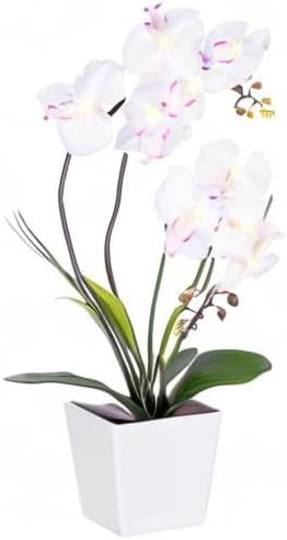 HOMESEASONS Orchid Lamp-LED Lighted Orchid Arrangements, Pre Lit Artificial - Image 8