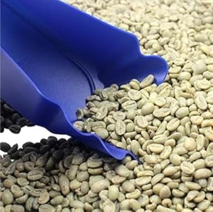 Coffee Cupping, Coffee Bean Tray, Food Grade PP Plastic Coffee Beans Sample - Image 5