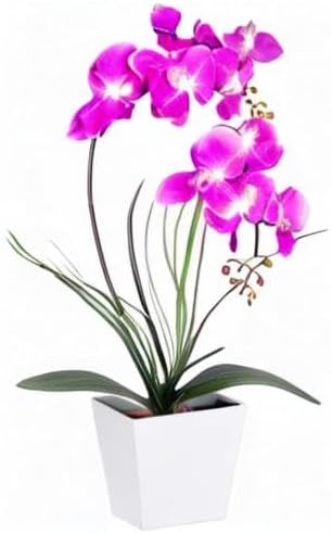 HOMESEASONS Orchid Lamp-LED Lighted Orchid Arrangements, Pre Lit Artificial - Image 8