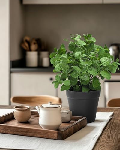 Coferset 3 Pack Small Fake Plants Eucalyptus Mint Potted Artificial Plants - Image 6