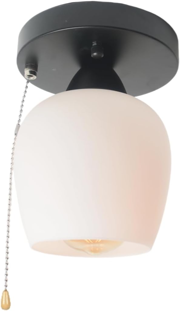 Round Pull Chain Ceiling Lighting by Baiwaiz