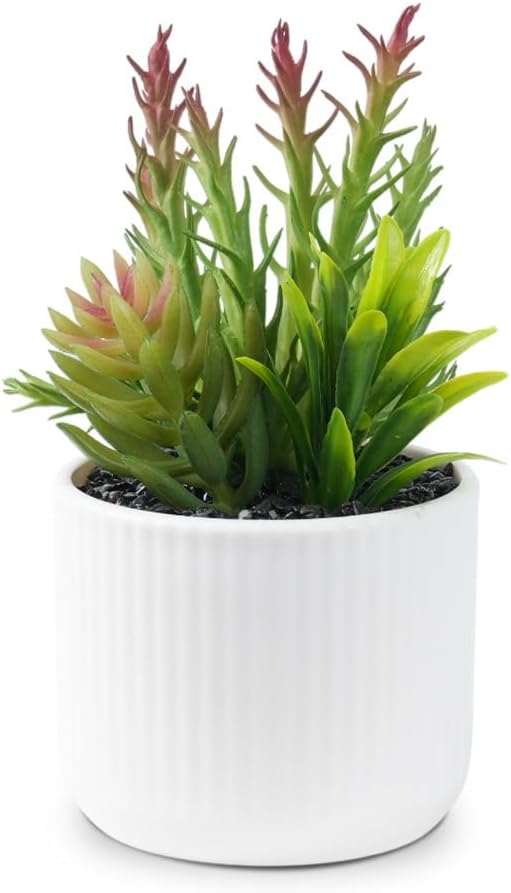 Faux Assorted Succulents - Image 7