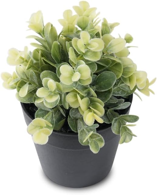 Fake Eucalyptus Potted Artificial Plant – Small Faux Eucalyptus by Unknown