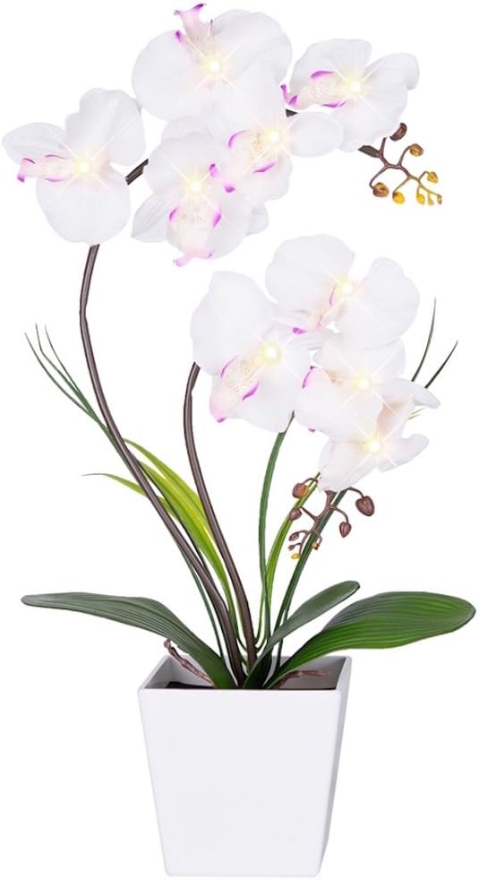 HOMESEASONS Orchid Lamp-LED Lighted Orchid Arrangements, Pre Lit Artificial by HOMESEASONS