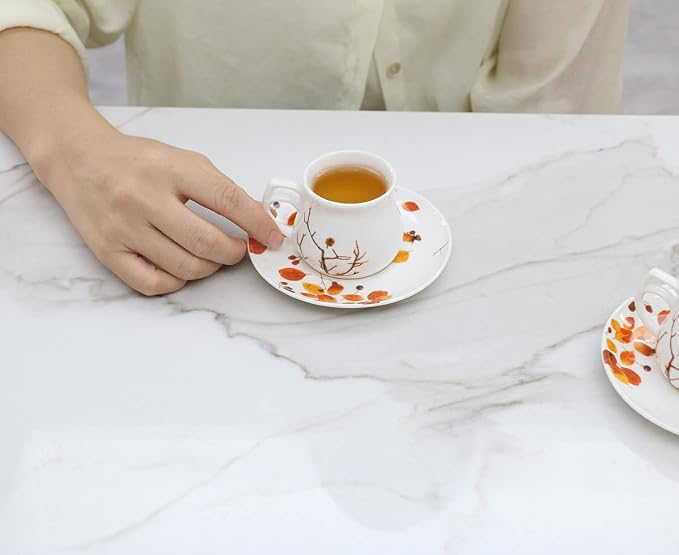 GuangYang 2.5 oz Espresso Cups and Saucers set of 6, Fall Design - Image 2