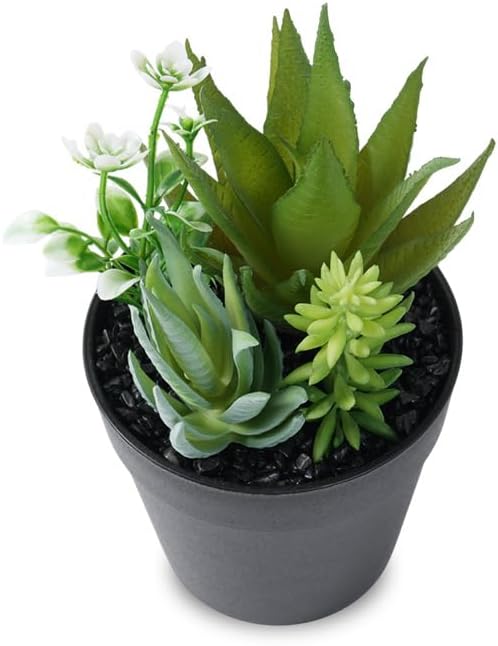Faux Assorted Succulents - Image 7