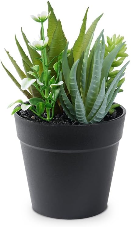 Faux Assorted Succulents by Unknown