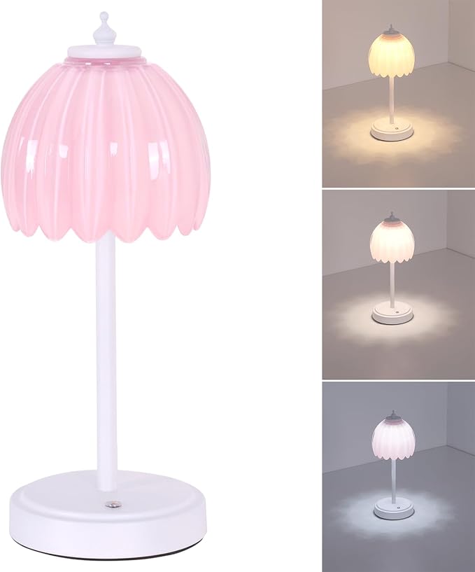 Shenmoyl Rechargeable Table Lamp by Shenmoyl