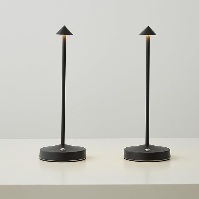 2 PACK Cordless Lamps, Battery Rechargeable Table Lamp, Portable Lamps by eypid