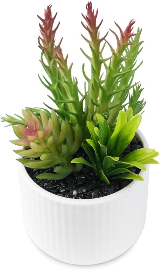 Faux Assorted Succulents by Unknown
