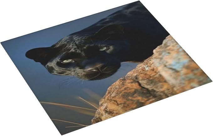 Absorbent Dish Drying Mats 16X18 Panther Rock Light Blue Home And Kitchen Dish - Image 4