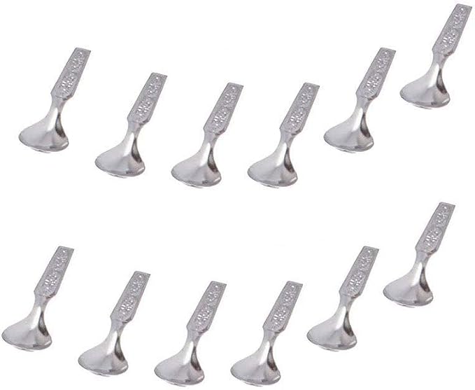 Mini Spoon Set of 12 for Spice Box Small Stainless Steel Spoons for Masala by LUXCKY