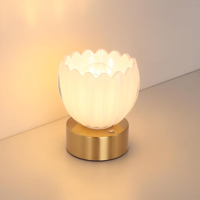 Shenmoyl Cordless Small Table Lamp by Shenmoyl
