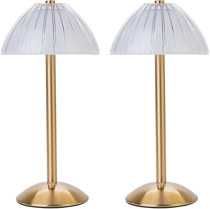 HEQET Cordless Table Lamps for Home, Dining Room, USB Charge 12'' Tall LED by HEQET