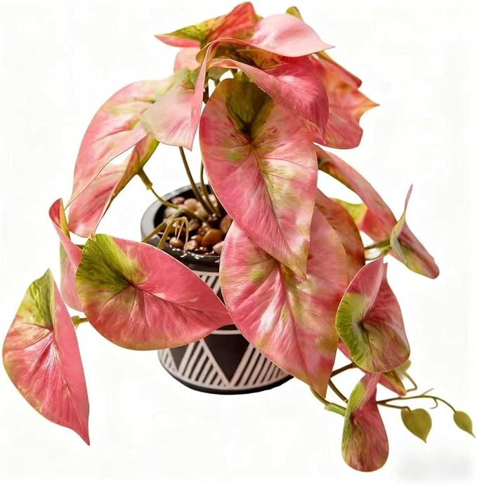 7" Artificial Red Caladium Plant in Geometric Ceramic Pot Lifelike Variegated by EZBOHO