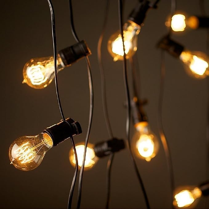 GOENDR Edison Bulb A19, Vintage Incandescent Light Bulbs - Image 3