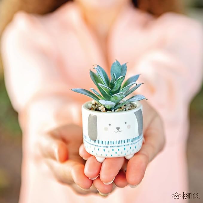 Karma, Shaped Artificial Succulents in Ceramic Pot, Faux Mini Succulent Plant - Image 6