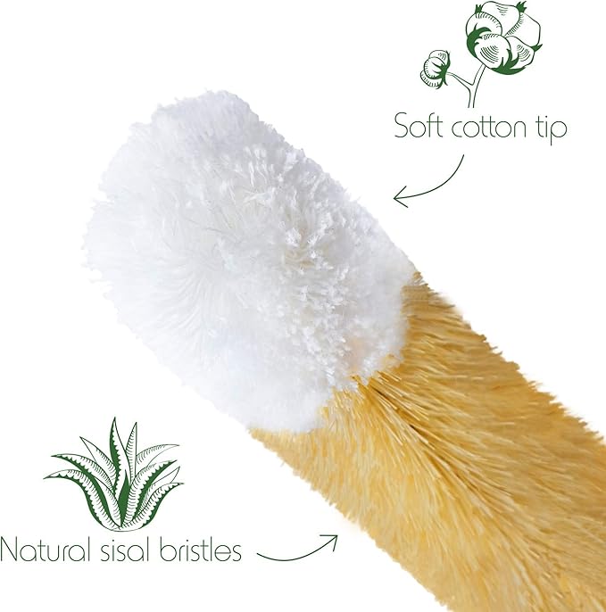 Bambaw Bottle Cleaner Brush Set | 4 Cleaning Brushes | Bottle Brush Cleaner Set - Image 5