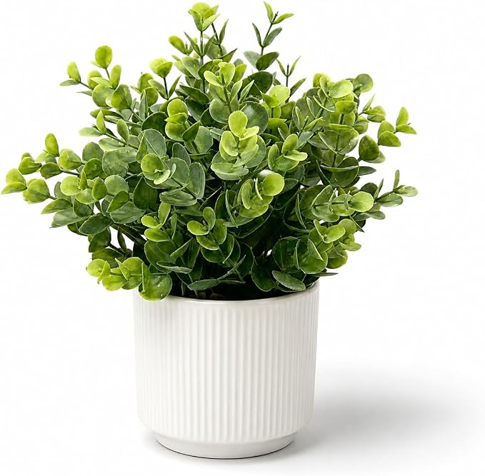 Small Artificial Eucalyptus Potted Plant, 9 in, Bathroom Decor | Small green by JOLLYMER