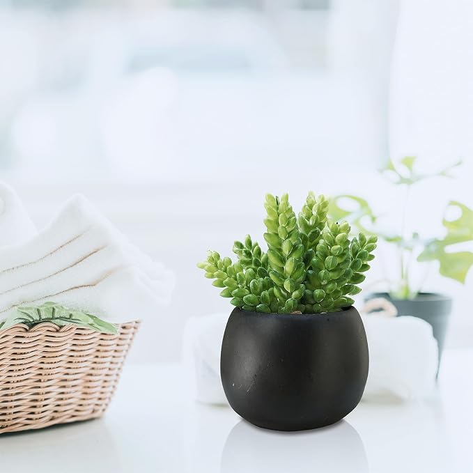 Winlyn Set of 3 Artificial Succulents Plants in Black Cement Planters Faux - Image 9
