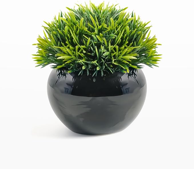Velener Small Artificial Succulents Grass Desk Plant by Velener