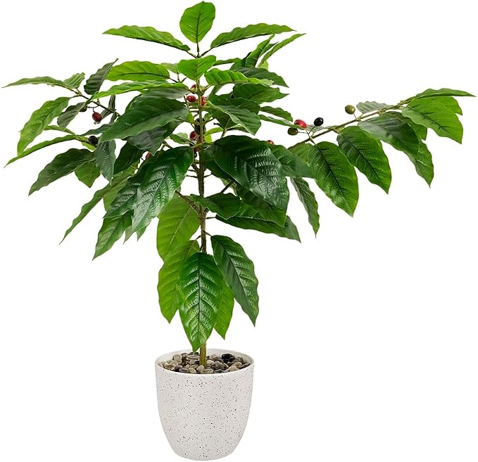 CAFEMASY Artificial Coffee Bean Plant Tree by CAFEMASY