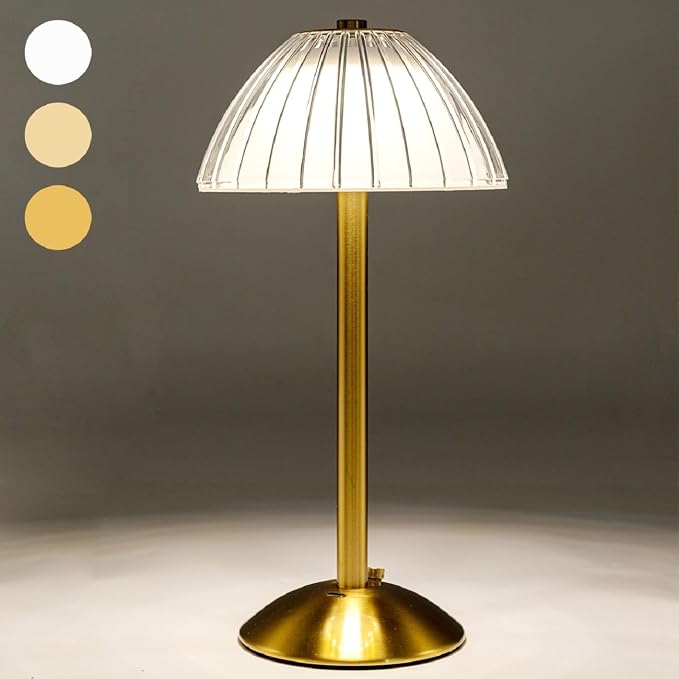 HEQET Cordless Table Lamps for Home, Dining Room, USB Charge 12'' Tall LED by HEQET