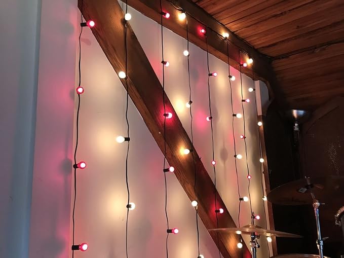 G40 Patio String Lights with 25 Purple Globe Bulbs - Image 6