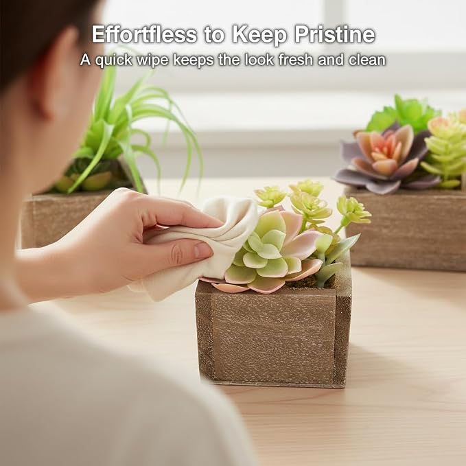 Artificial Succulents Indoor, Tabletop Accent - Image 5