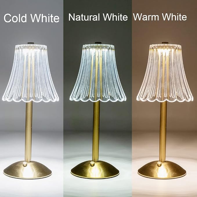 HEQET Cordless Table Lamps for Home, Dining Room, USB Charge 12'' Tall LED - Image 4