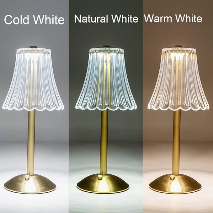HEQET Cordless Table Lamps for Home, Dining Room, USB Charge 12'' Tall LED - Image 6