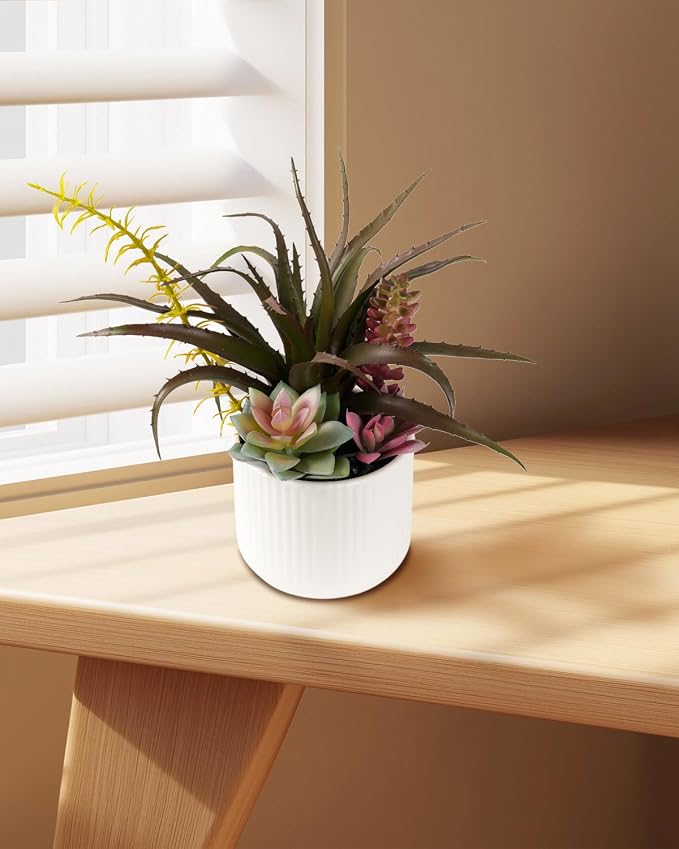 Faux Assorted Succulents - Image 3