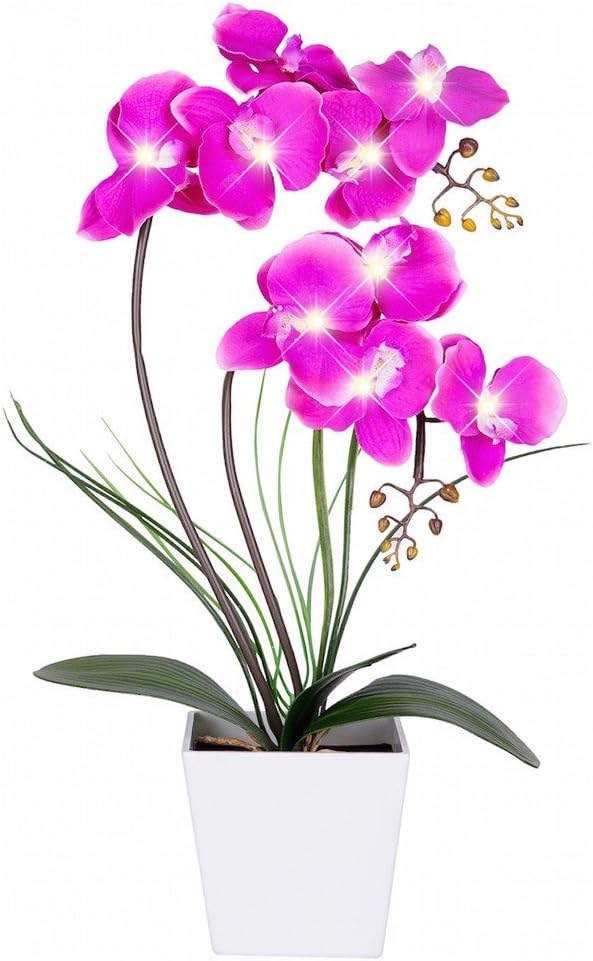 HOMESEASONS Orchid Lamp-LED Lighted Orchid Arrangements, Pre Lit Artificial by HOMESEASONS