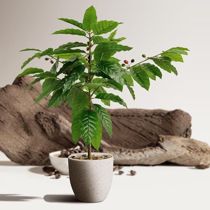 CAFEMASY Artificial Coffee Bean Plant Tree - Image 3