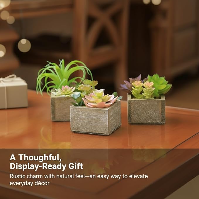 Artificial Succulents Indoor, Tabletop Accent - Image 7