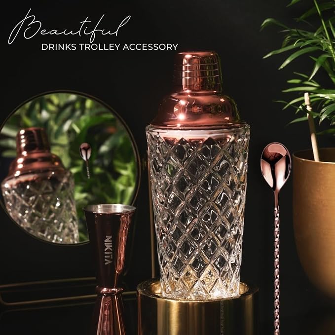 Nikita Cocktail Shaker, 5-Piece Martini Shaker & Bartender Kit - Image 2