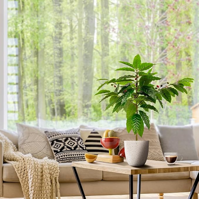 CAFEMASY Artificial Coffee Bean Plant Tree - Image 5