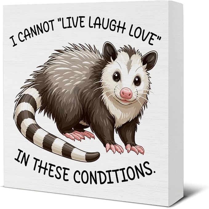 Sarcastic Office Desk Sign I Cannot Live Laugh Love Funny Possum Wood Block by Unknown