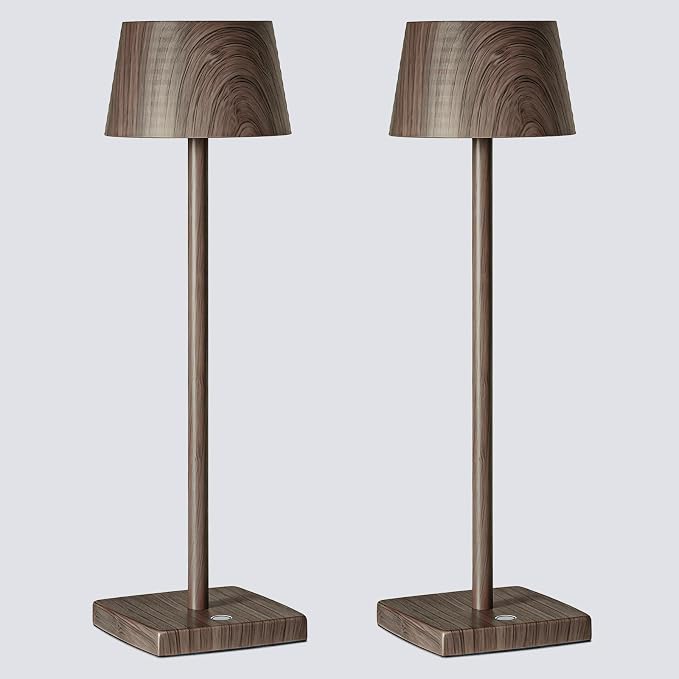 Cordless Rechargeable LED Table Lamps, 3 Color Touch Stepless Dimmable by BarrycaLighting