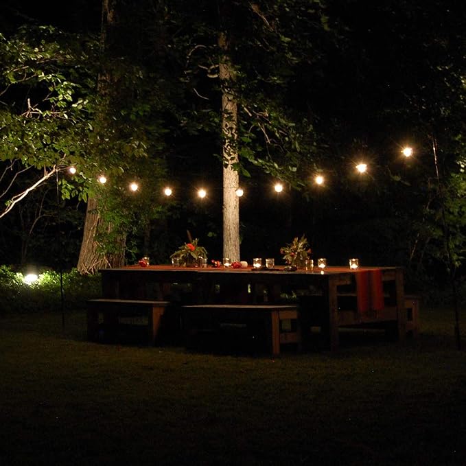 LumaBase Electric Café String Lights - Image 6