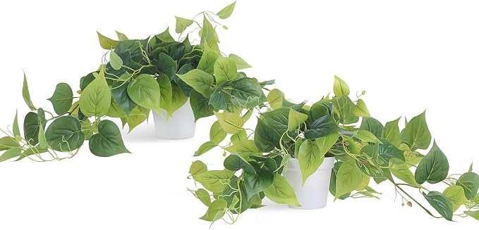 Tiita 2 Pack Fake Plants Artificial Scindapsus Aureus in Pots, Realistic Fake by TiitaHome