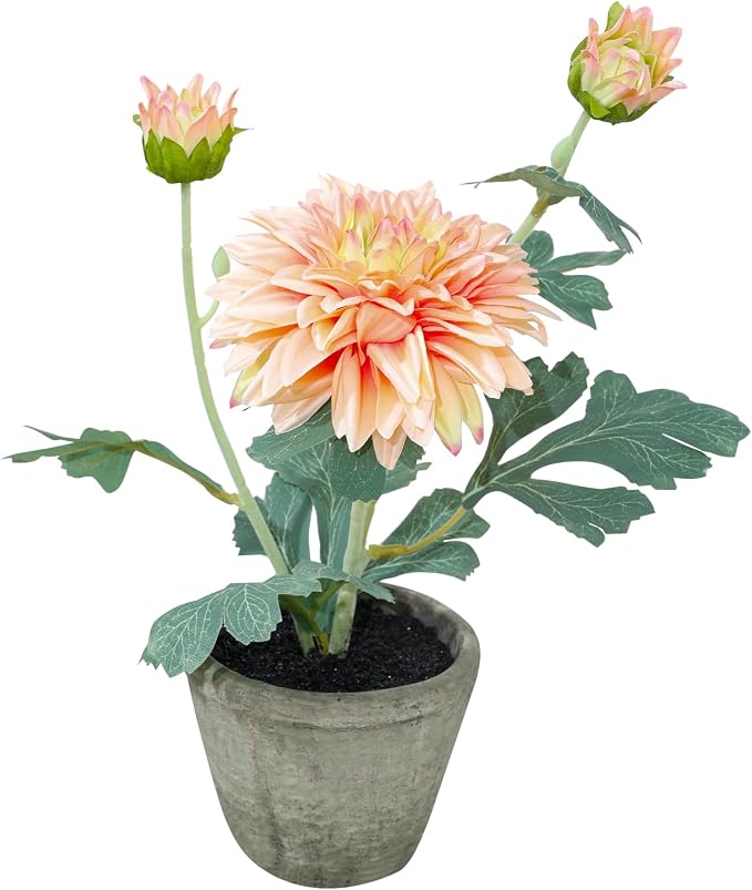 Champagne Dahlia Flowers Fake Silk Mums Flower Artificial Chrysanthemum Flowers by RosscerArtificialFlowers