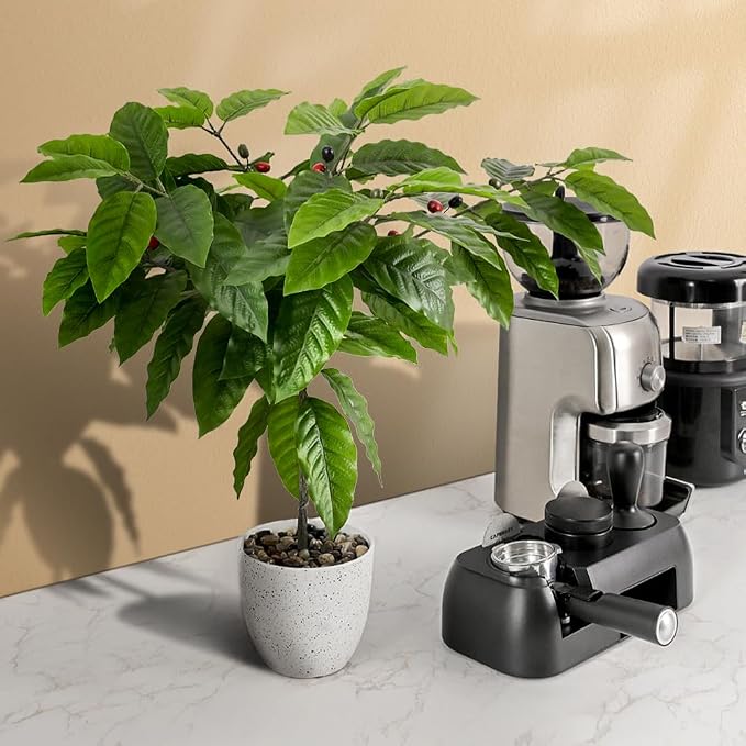 CAFEMASY Artificial Coffee Bean Plant Tree - Image 6