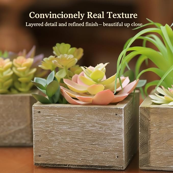 Artificial Succulents Indoor, Tabletop Accent - Image 4